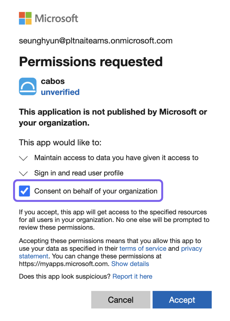 Permissions requested screen with "Consent on behalf of your organization" checked